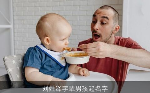 刘姓泽字辈男孩起名字