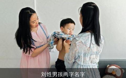刘姓男孩两字名字
