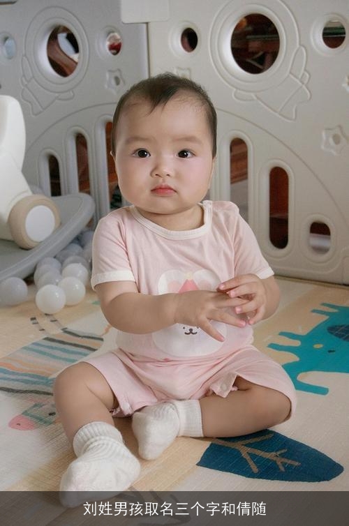 刘姓男孩取名三个字和倩随
