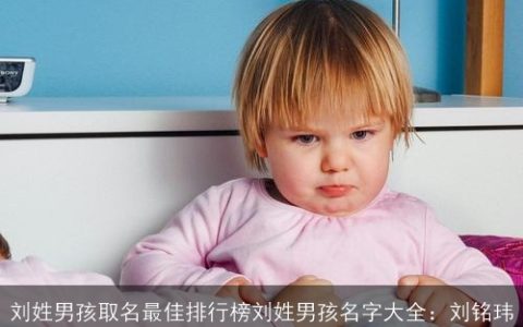 刘姓男孩取名最佳排行榜刘姓男孩名字大全：刘铭玮