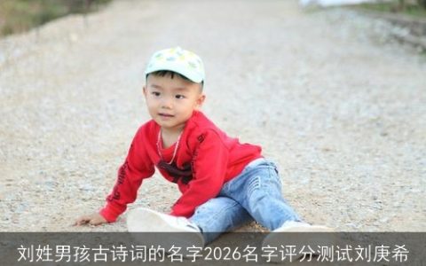 刘姓男孩古诗词的名字2026名字评分测试刘庚希