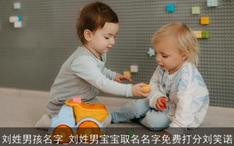 刘姓男孩名字_刘姓男宝宝取名名字免费打分刘笑诺