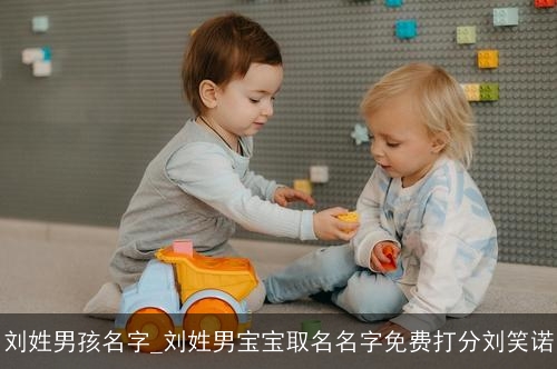 刘姓男孩名字_刘姓男宝宝取名名字免费打分刘笑诺