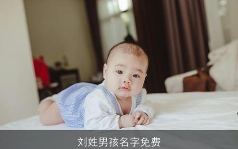 刘姓男孩名字免费