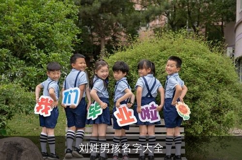 刘姓男孩名字大全