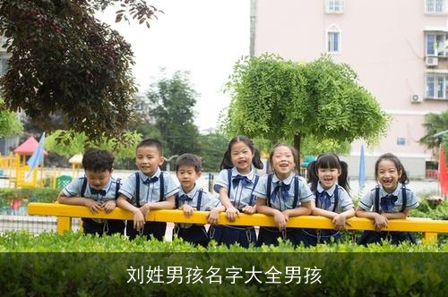刘姓男孩名字大全男孩
