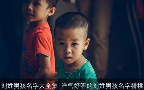 刘姓男孩名字大全集 洋气好听的刘姓男孩名字精挑