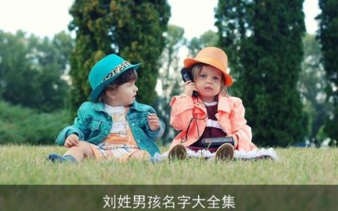 刘姓男孩名字大全集