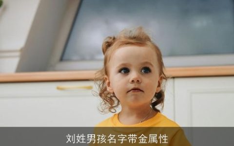 刘姓男孩名字带金属性