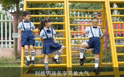 刘姓男孩名字简单大气