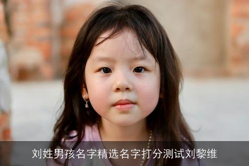 刘姓男孩名字精选名字打分测试刘黎维