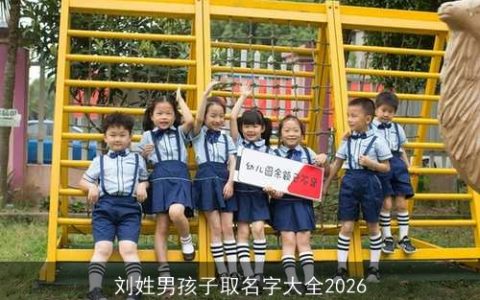刘姓男孩子取名字大全2026