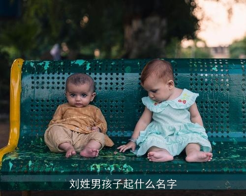 刘姓男孩子起什么名字
