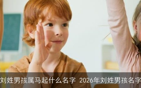 刘姓男孩属马起什么名字 2026年刘姓男孩名字