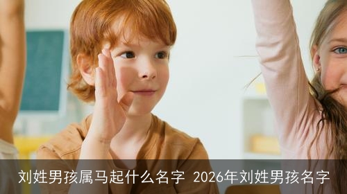 刘姓男孩属马起什么名字 2026年刘姓男孩名字