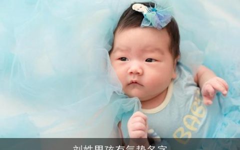 刘姓男孩有气势名字