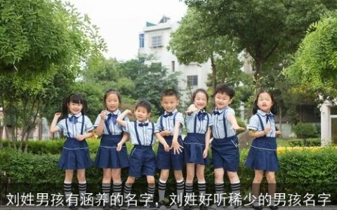 刘姓男孩有涵养的名字，刘姓好听稀少的男孩名字