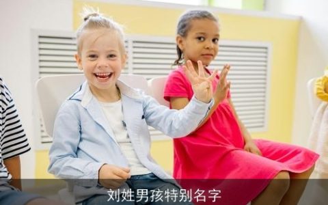 刘姓男孩特别名字