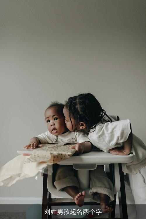 刘姓男孩起名两个字