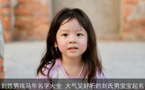 刘姓男孩马年名字大全 大气又好听的刘氏男宝宝起名