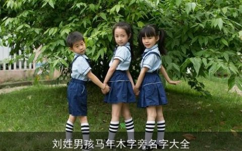 刘姓男孩马年木字旁名字大全