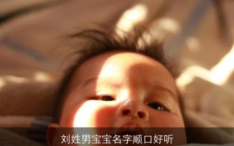 刘姓男宝宝名字顺口好听