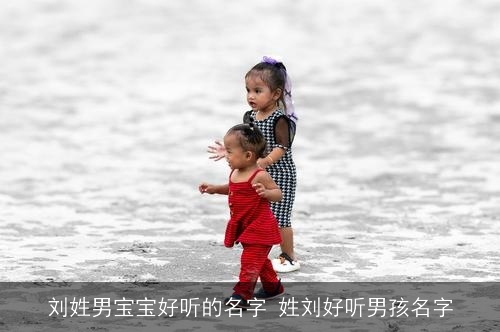 刘姓男宝宝好听的名字 姓刘好听男孩名字
