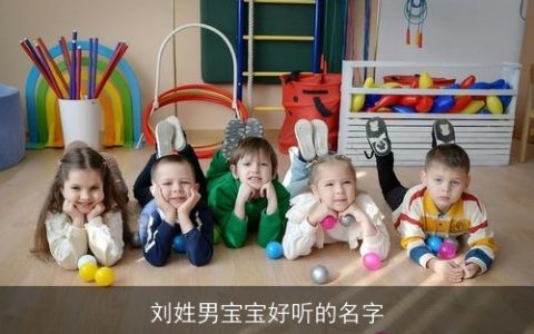 刘姓男宝宝好听的名字