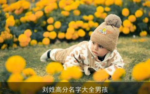 刘姓高分名字大全男孩