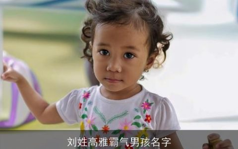 刘姓高雅霸气男孩名字