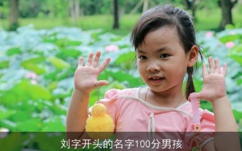 刘字开头的名字100分男孩