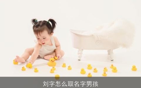 刘字怎么取名字男孩