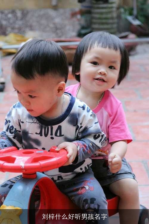 刘梓什么好听男孩名字