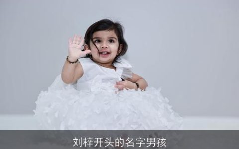 刘梓开头的名字男孩