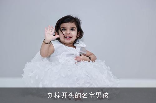 刘梓开头的名字男孩