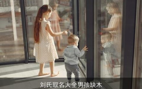 刘氏取名大全男孩缺木