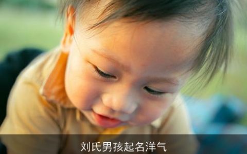 刘氏男孩起名洋气