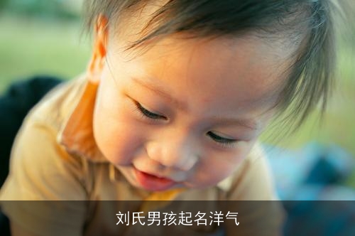 刘氏男孩起名洋气