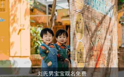 刘氏男宝宝取名免费