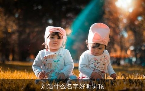 刘浩什么名字好听男孩