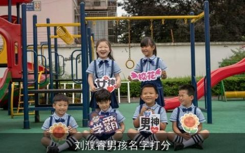 刘濮睿男孩名字打分
