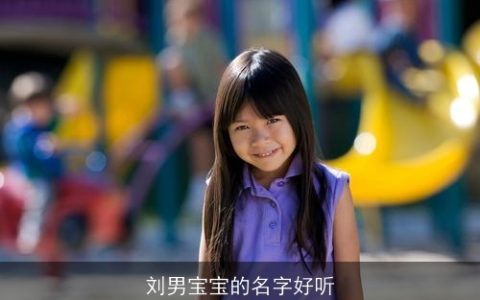 刘男宝宝的名字好听