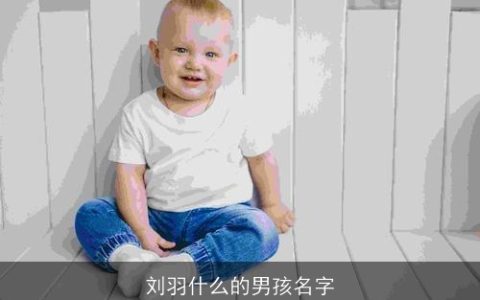 刘羽什么的男孩名字