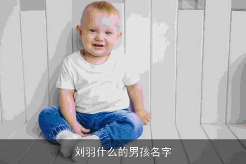 刘羽什么的男孩名字