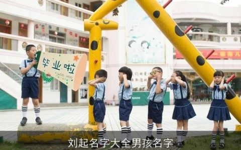 刘起名字大全男孩名字