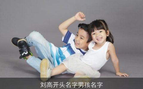 刘高开头名字男孩名字