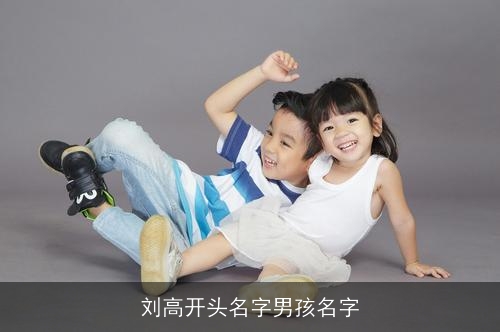 刘高开头名字男孩名字