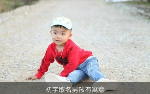 初字取名男孩有寓意