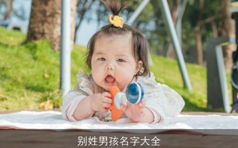 别姓男孩名字大全