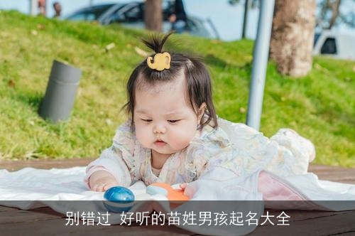 别错过 好听的苗姓男孩起名大全